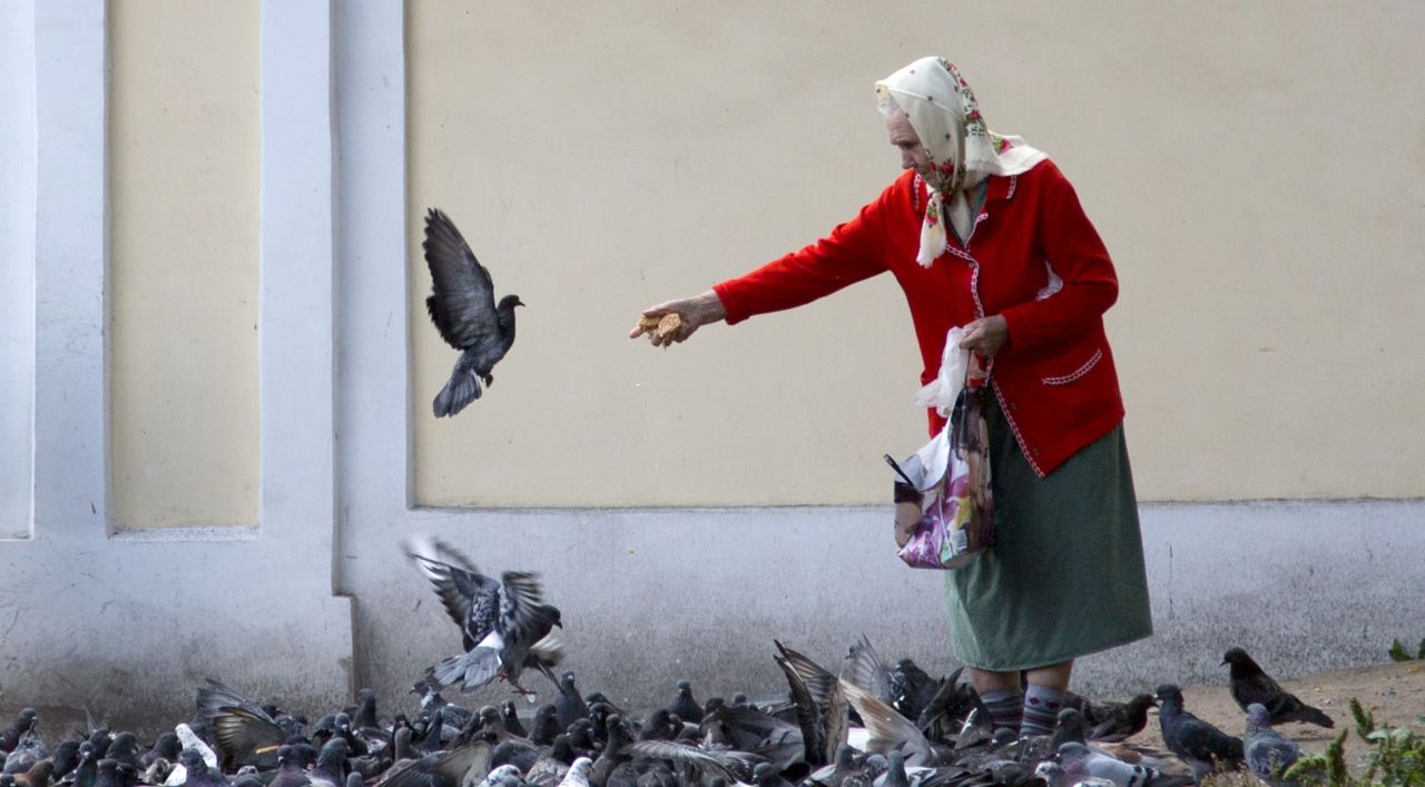 A woman feeds pigeons near the Alexander Nevsky Monastery in St. Petersburg, Russia, on September 3. The Alexander Nevsky Monastery complex, which is currently under renovation, is home to some of the oldest buildings in the city.