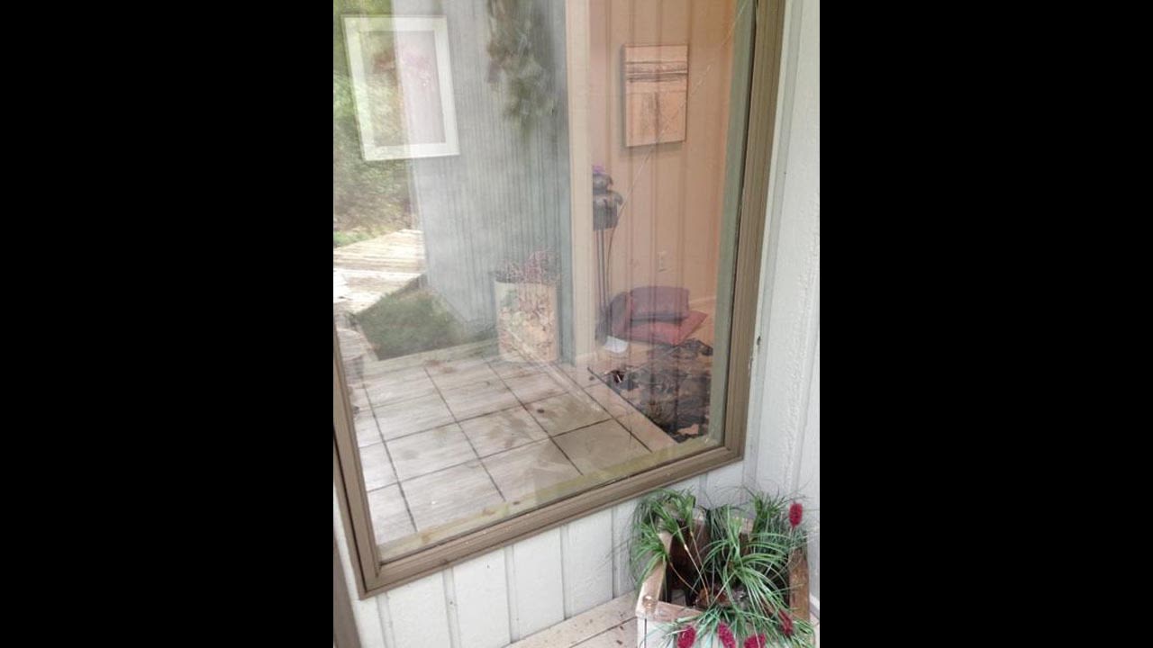 Authorities believe that the bird saw its reflection in the window glass and became aggressive.