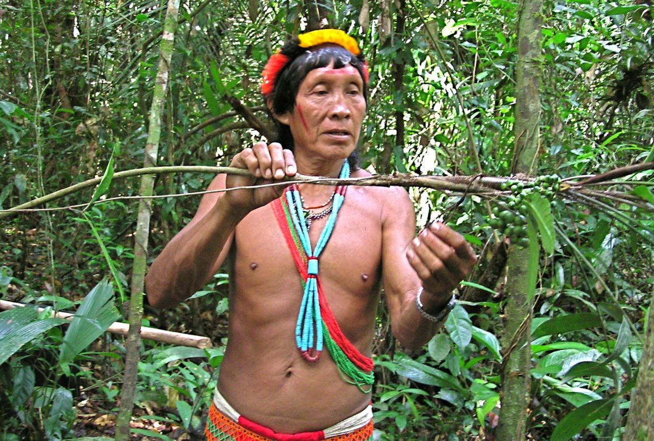 Amasina, a shaman from the Trio tribe on the Suriname-Brazil border, collects medicinal plants. Mark Plotkin and Liliana Madrigal, a husband-and-wife team, have spent much of their lives preserving the Amazon region and the culture of its indigenous inhabitants. Together, they created the Amazon Conservation Team, which helps empower the indigenous peoples of the Amazon to protect their rainforest homes.