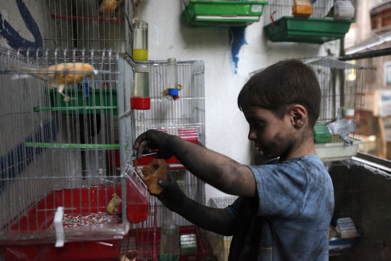 Issa feeds his pet bird at his home in Aleppo.