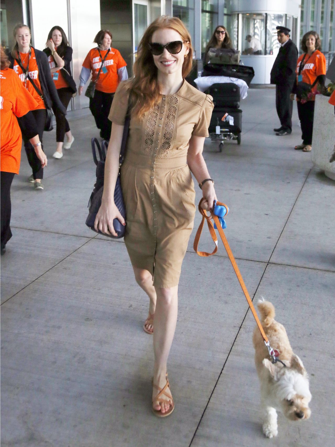 Jessica Chastain walks her pup in Toronto on September 8. 