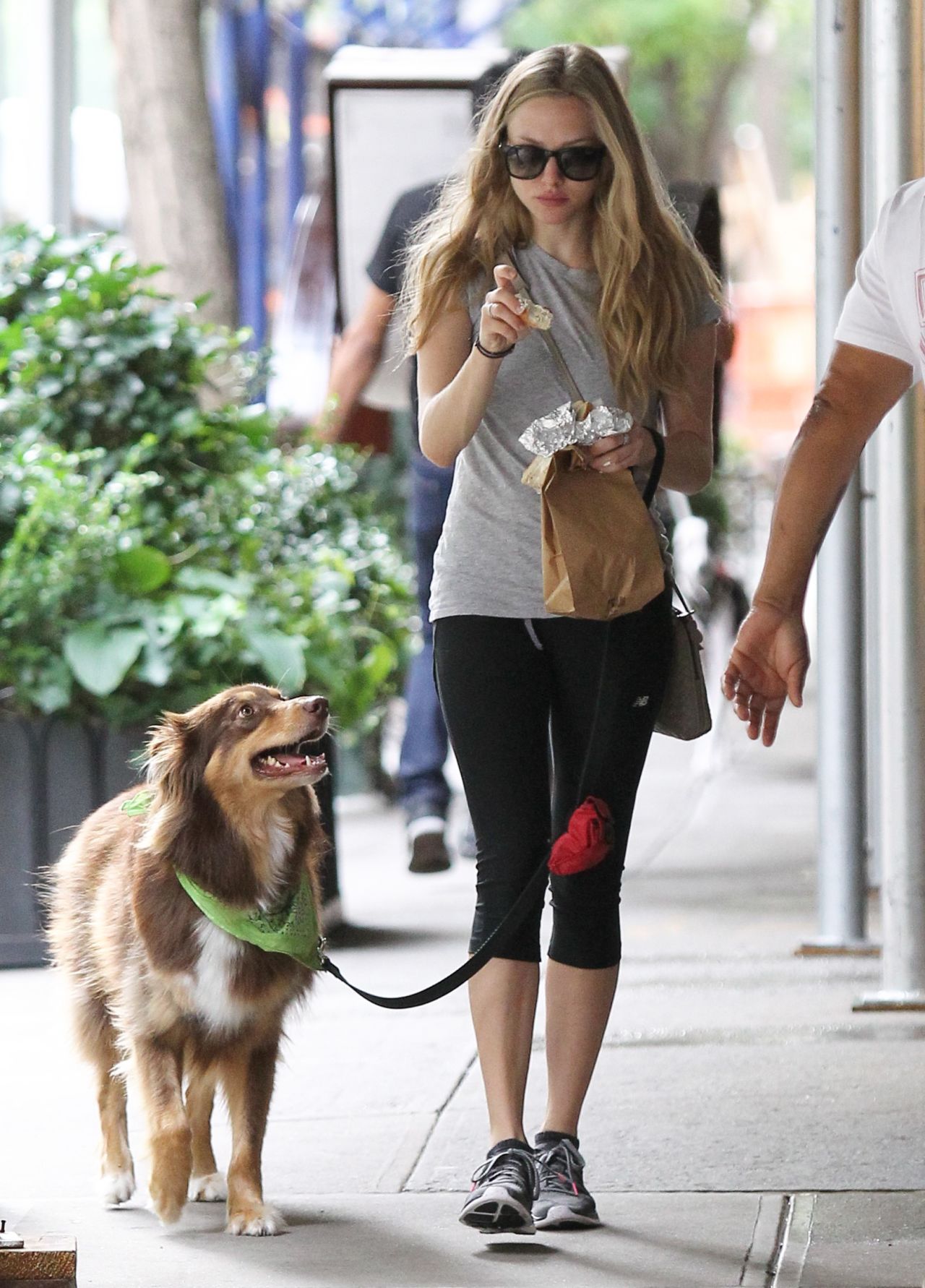 Amanda Seyfried and her dog take a walk in New York City on September 10.