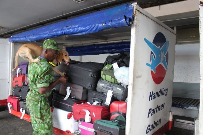 Along with their handlers, they frequently search luggage at the international airport ...