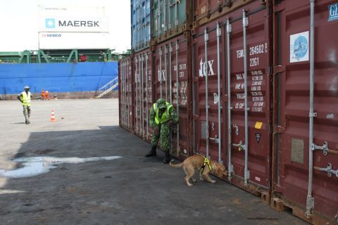 The four-legged detectives are regularly deployed in a number of locations in and around Gabon's capital Libreville, including Owendo port.