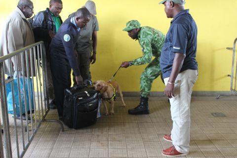 Cooper searching passengers' bags at Libreville's train station.