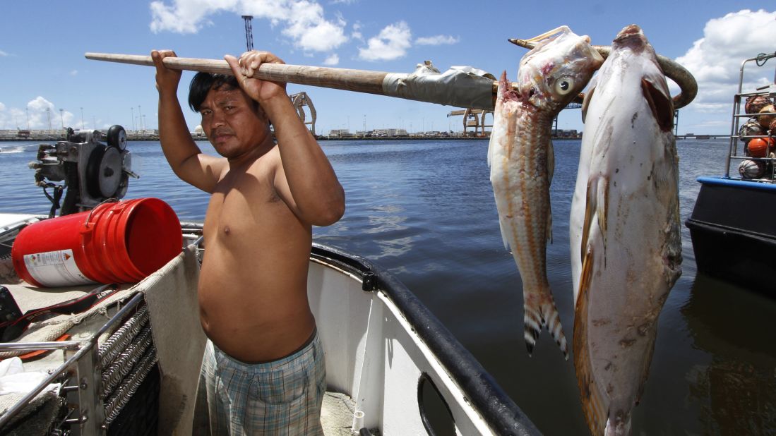 Placido Shim gaffed these dead fish as they were floating past his boat on Wednesday, September 11.