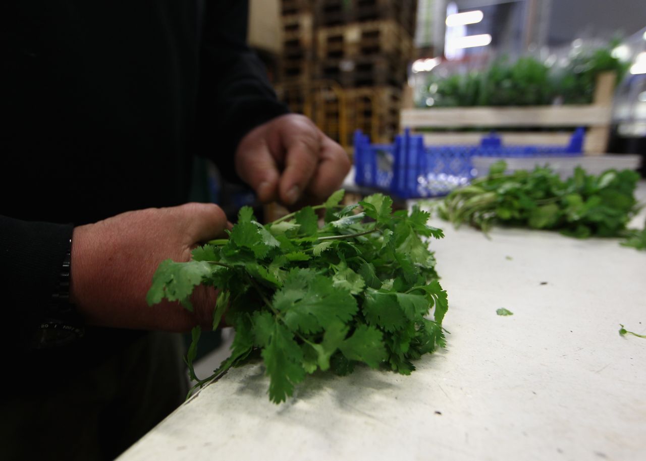 The Food and Drug Administration has issued a ban on some cilantro imported from Mexico <a href="http://www.cnn.com/2015/07/28/health/mexico-cilantro/index.html" target="_blank">after an investigation</a> to determine the cause of hundreds of reported intestinal illnesses in the United States dating back to 2012. People infected with the parasite Cyclospora cayetanensis experienced watery diarrhea, nausea, bloating and cramping. <a href="http://www.cnn.com/2012/10/24/health/gallery/food-safety-tips/index.html">Click here</a> for tips on how to keep your food safe. 