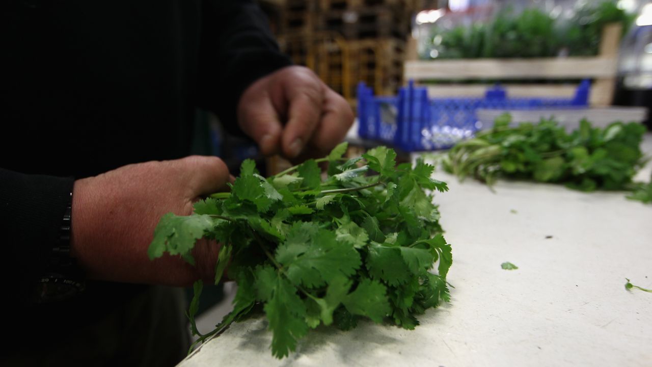 Because cilantro isn't an essential crop, using it as a purifier won't take away from people's food needs in Mexico.