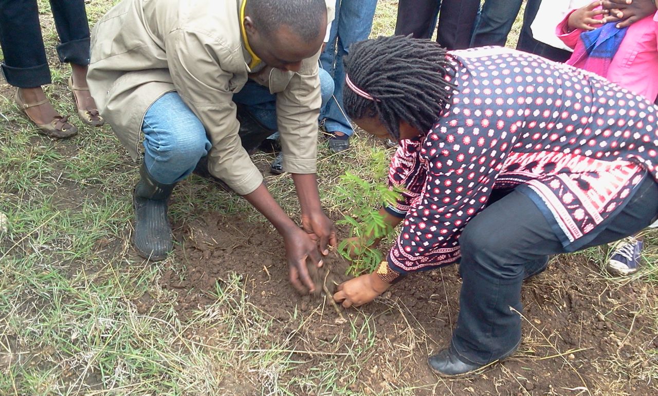 The M-Pesa Foundation and private investors have launched the Nairobi Greenline project in order to preserve the land and its animal inhabitants.