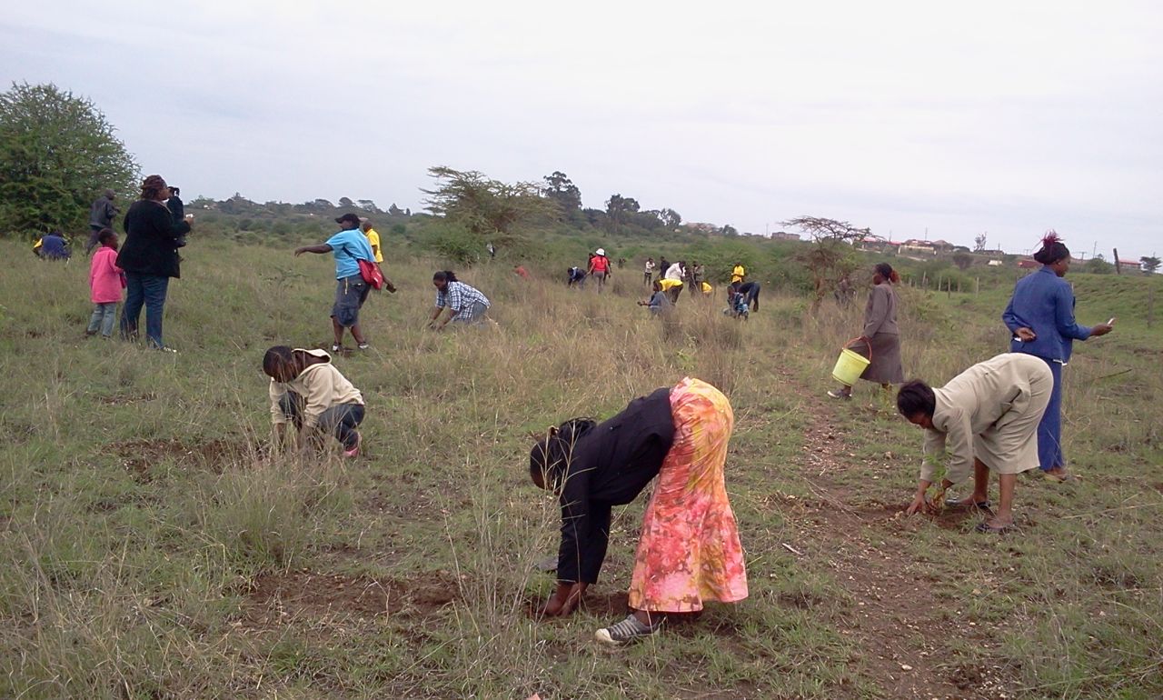 The project is planting 300,000 indigenous trees that will form a 30 kilometer-long, 50 meter-wide forest boundary around the park, reinforced by a 32-km electric fence.
