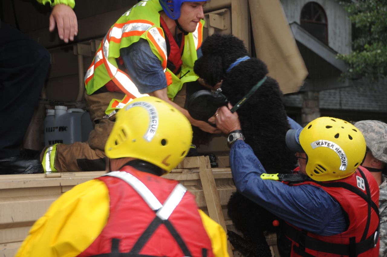 People, as well as pets, were loaded onto National Guard vehicles.