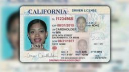 An artist rendition of what the driver's license could look like for California's undocumented immigrants.