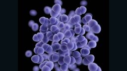 methicillin-resistant Staphylococcus aureus (MRSA)