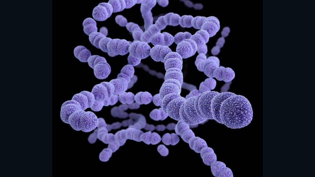 Most cases of bacterial pneumonia are caused by the streptococcus bacteria.