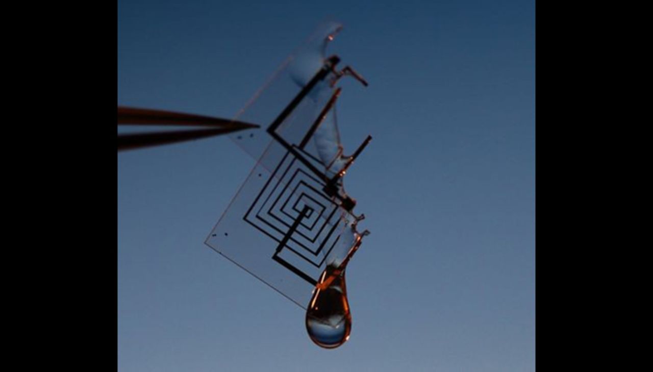 Eventually we might be able to make our electronics disappear altogether. Researchers at the University of Illinois and Tufts University have developed a fully soluble yet robust electric circuit that one day could eradicate the environmental impact of our fast-paced gadget industry forever.