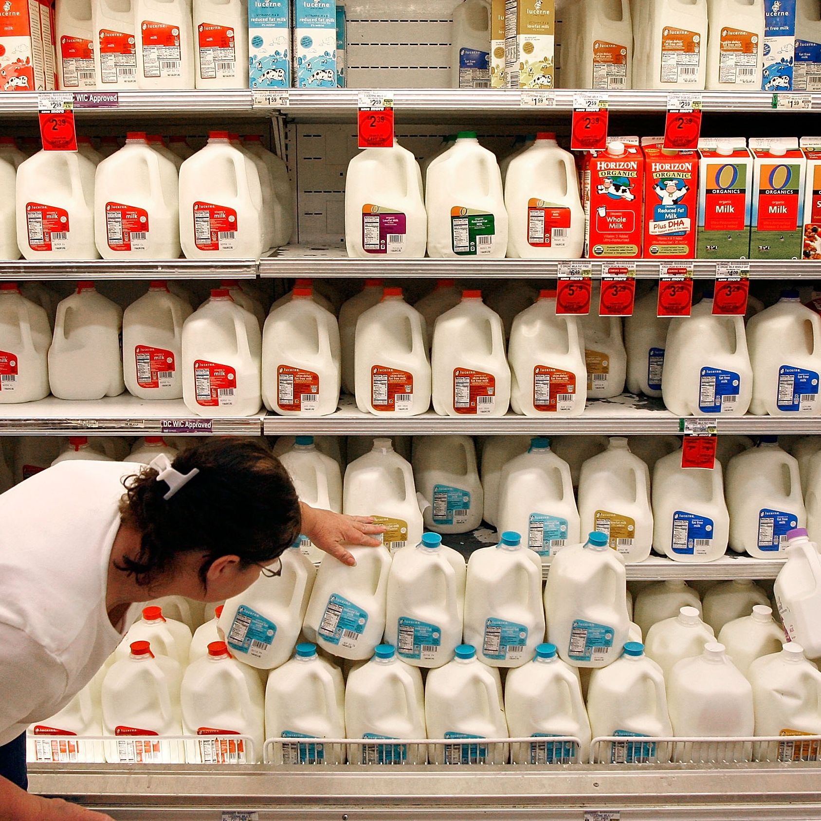 Food expired? Don't be so quick to toss it | CNN