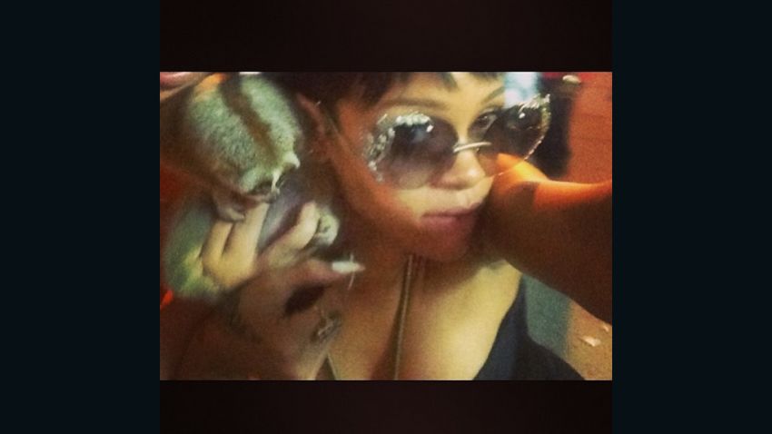 Rihanna to the rescue! This Instagram photo helped return two endangered primates to the wild. 