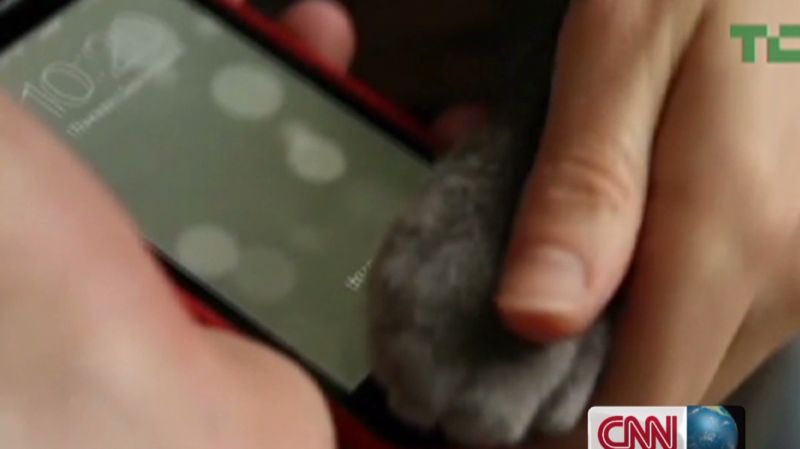 Can a pet use new iPhone 5S fingerprinting security?