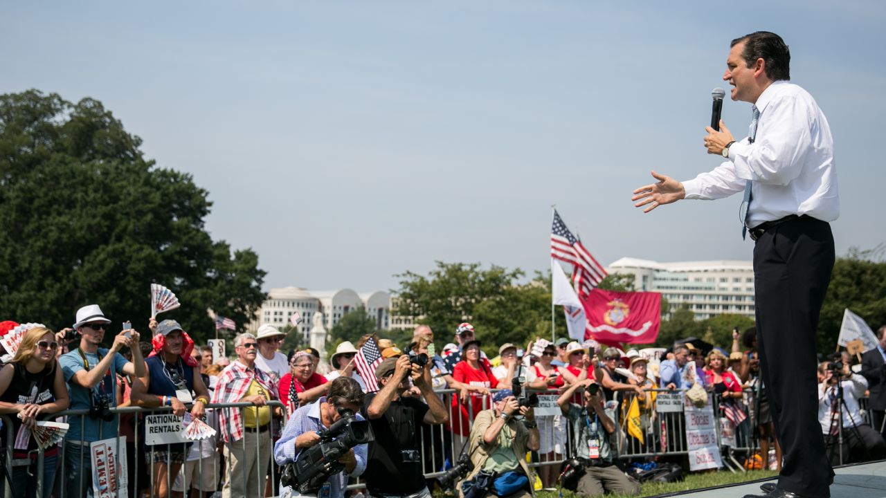 Sen. Ted Cruz at anti-Obamacare rally