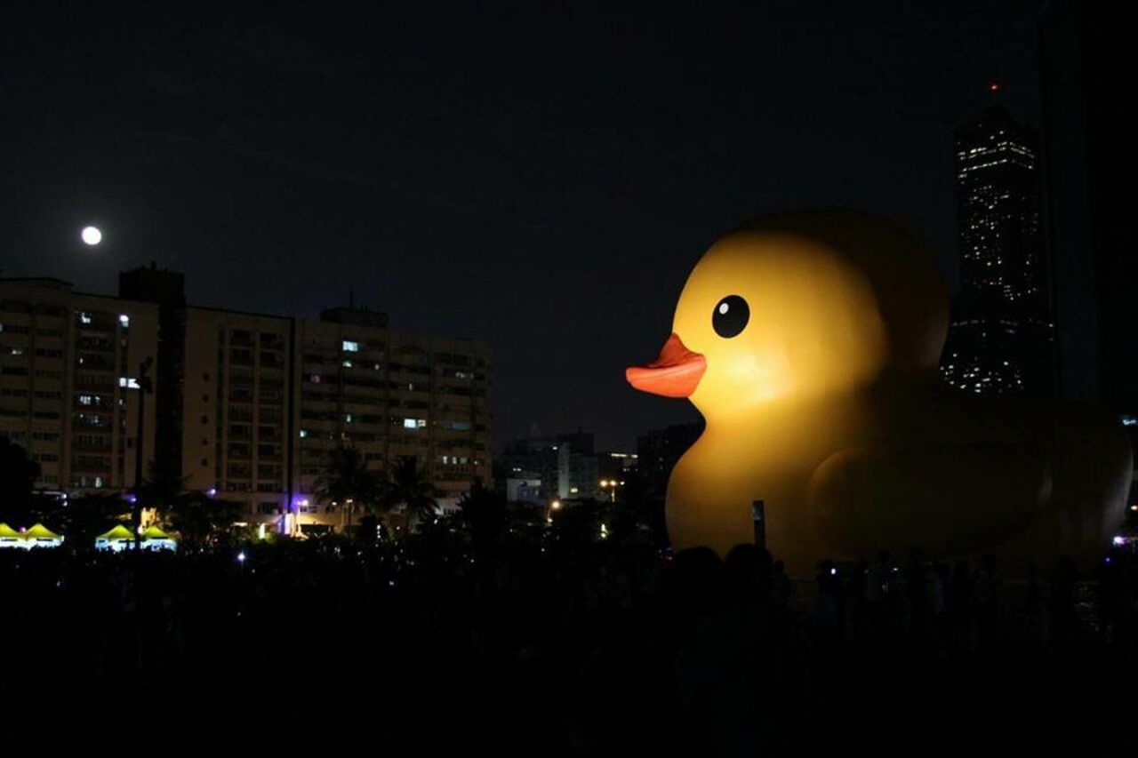 The duck is being kept permanently in the spotlight, so visitors can get their cute fix anytime.
