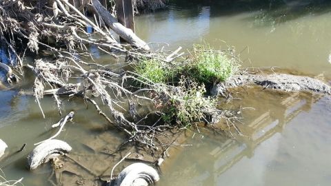 A car that appears to be Cheryl Miller and Pamela Jackson's was spotted in a creek just half a mile from the girls' intended 1971 destination near Beresford, South Dakota, reported CNN affiliate KTIV-TV.