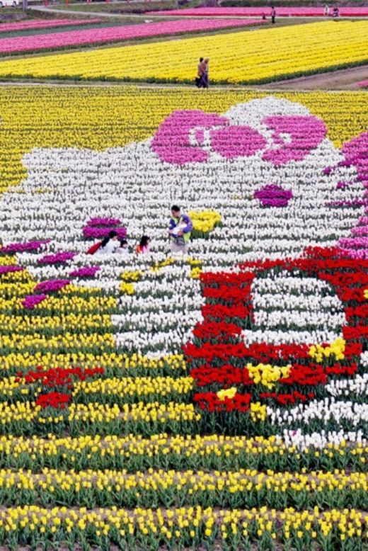 Un Hello Kitty gigante hecho de coloridos tulipanes en un festival de 2005 en Toyooka, al oeste de Japón.