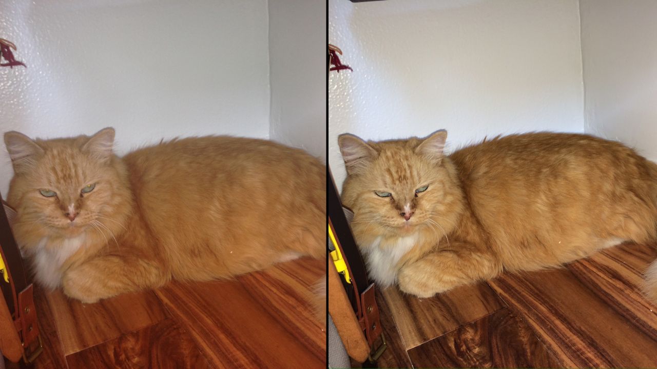 You see a similar difference when the flash is used to take photos of this cat. The iPhone 5 image, left, looks flat and muted, while the 5S shot on the right has more texture and depth.