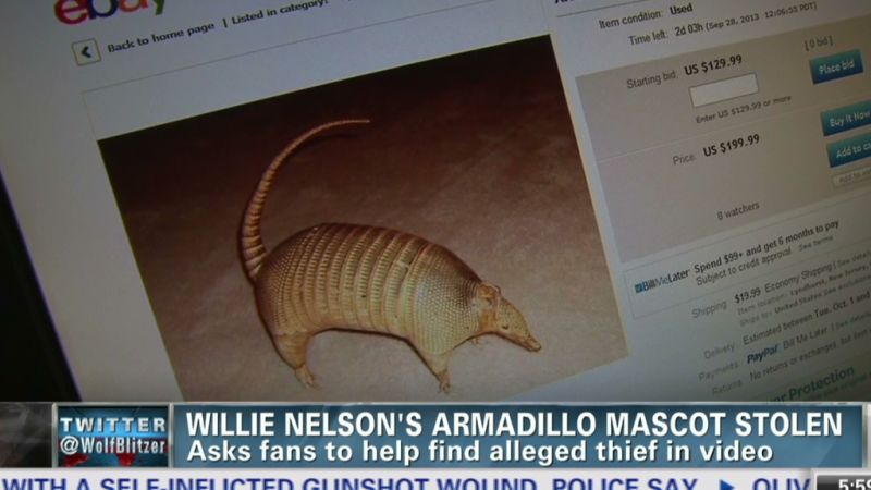 Armadillo's Web Page