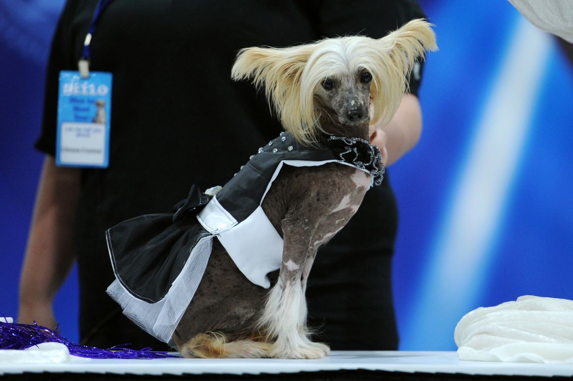 2023 Fashion Dogs Cats Clothes Pet Baseball Wear Cat Dog Jersey