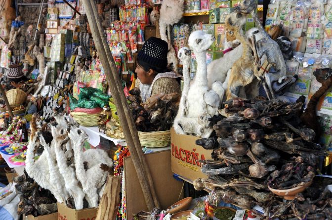 The Witch Market makes for a large tourist draw in La Paz, Bolivia, where local witches carry medicinal herbs and spell-making ingredients. Dried llama fetuses and toads are some of the items available for sale. 