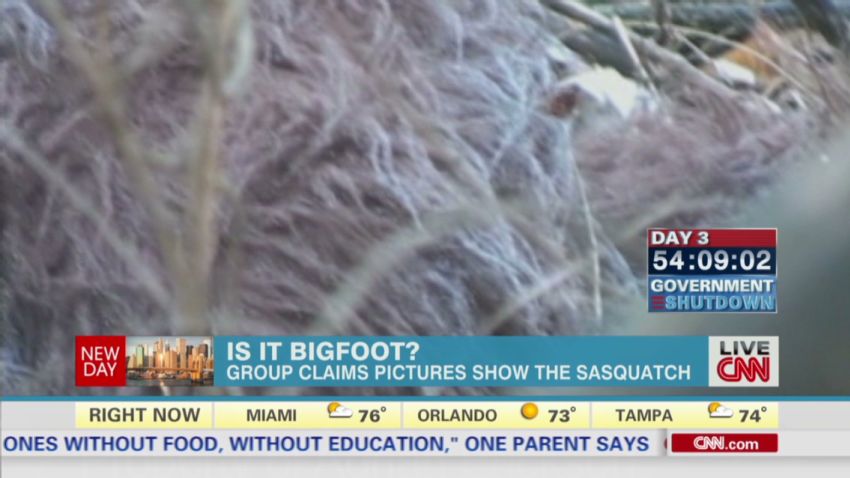 newday bigfoot video_00002312.jpg