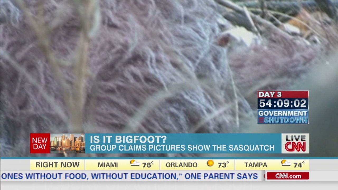 real bigfoot footage