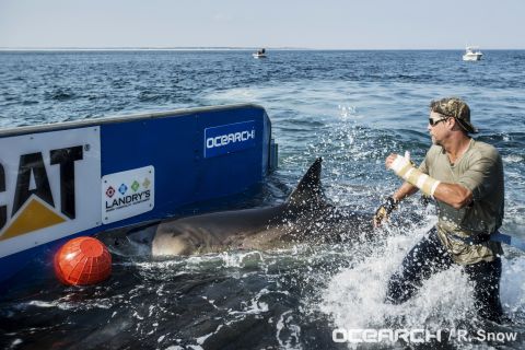 The team of scientists and sailors are on a mission to electronically tag sharks, in an effort to build a global map of their migration, breeding, and birthing habits. 