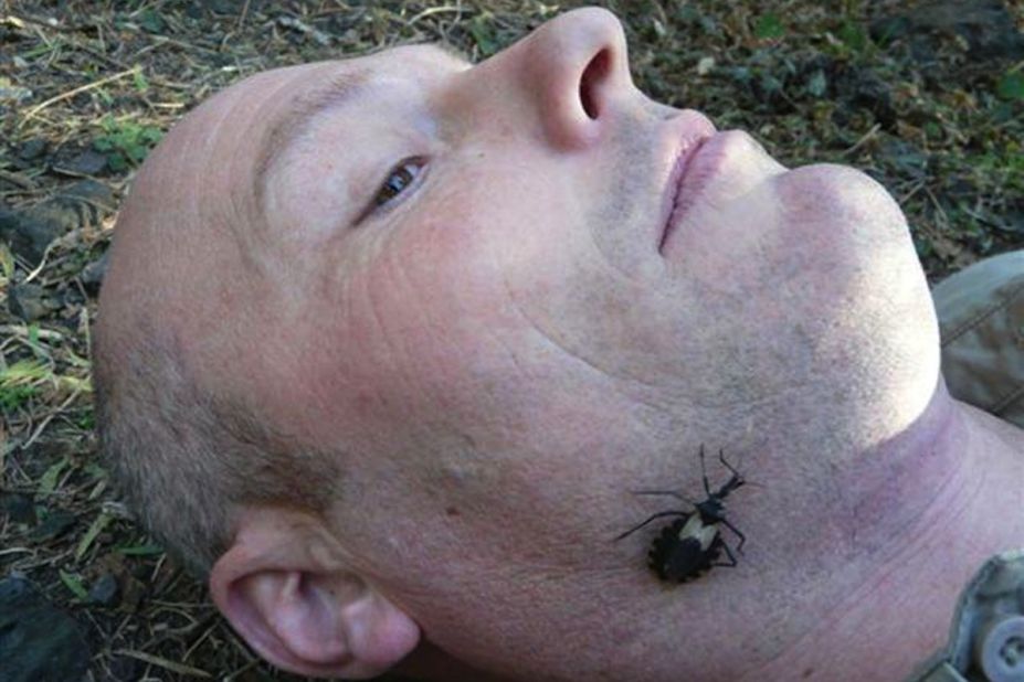 This bug can cause the painful Chagas Disease, which supposedly killed Charles Darwin. Here, virologist and the writer of this article Dr. Mike Leahy lets the dreaded "assassin bug" roam free on his face.