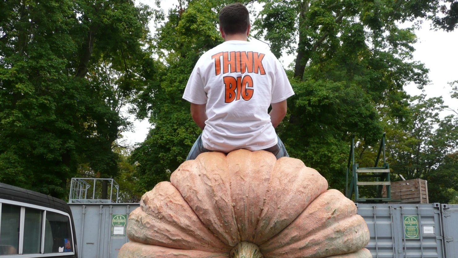For five months, Scott Armstrong tended to the pumpkin in his backyard. His prize: $500, a plaque, a blue ribbon, and a trophy. 