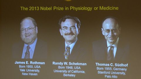 Winners of the 2013 Medicine Nobel Prize