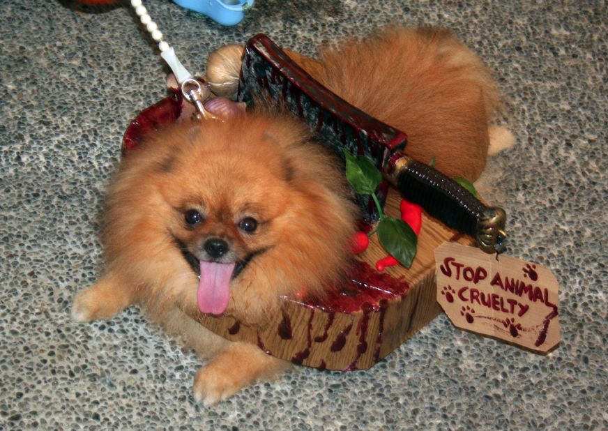 Gory special effects need not be reserved for human costumes. Navarro's Pomeranian, Jacks, somehow looks <a href="http://ireport.cnn.com/docs/DOC-870763">scary and adorable</a> while wearing a meat cleaver -- and a message to stop animal cruelty.