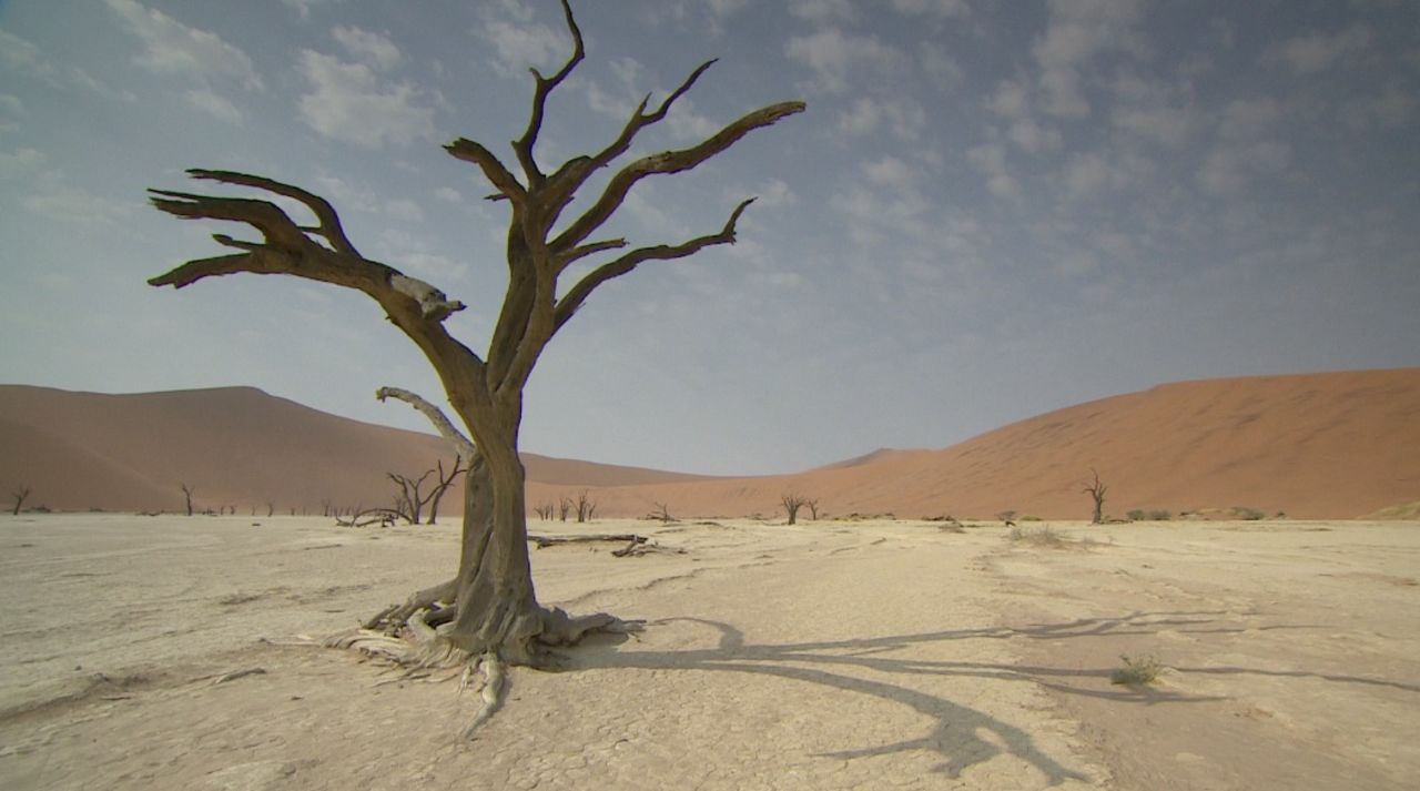 The desert gets less than 0.4 inches of rain annually and is almost completely barren.