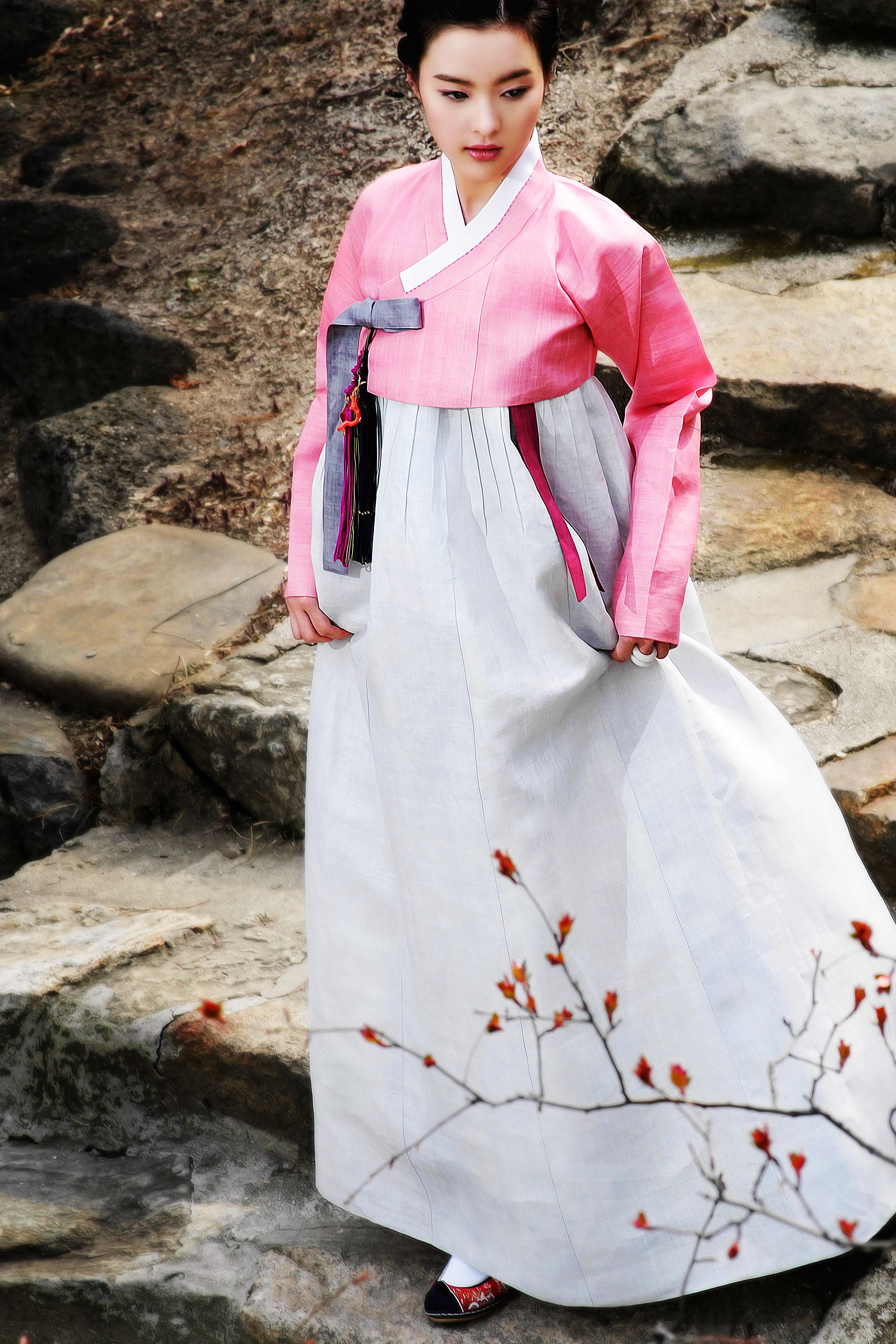 Hanbok Korean Traditional Dress | lupon.gov.ph
