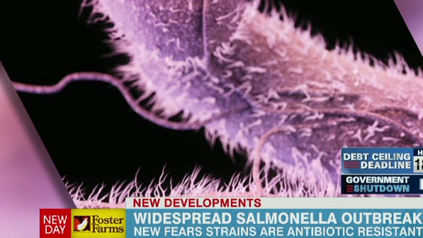 exp newday cohen salmonella outbreak_00002001.jpg