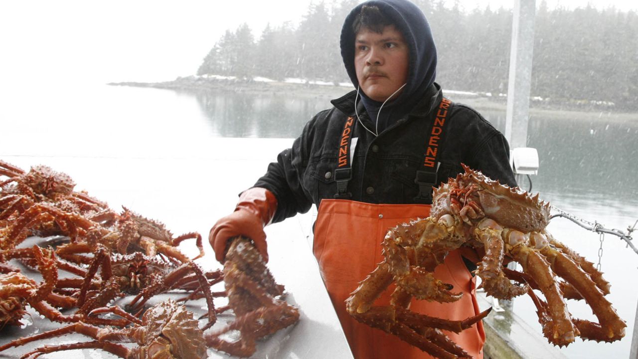 A man sorts golden king crab in Auke Bay in Juneau, Alaska, in March 2007. The partial government shutdown has left crab fleets in limbo without any federal employees to set rules and quotas for the fishing season. A delay of even a few days could be costly, a congresswoman from Washington state warned in a House speech last week.
