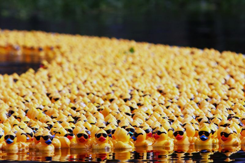 Rubber ducks hot sale at sea