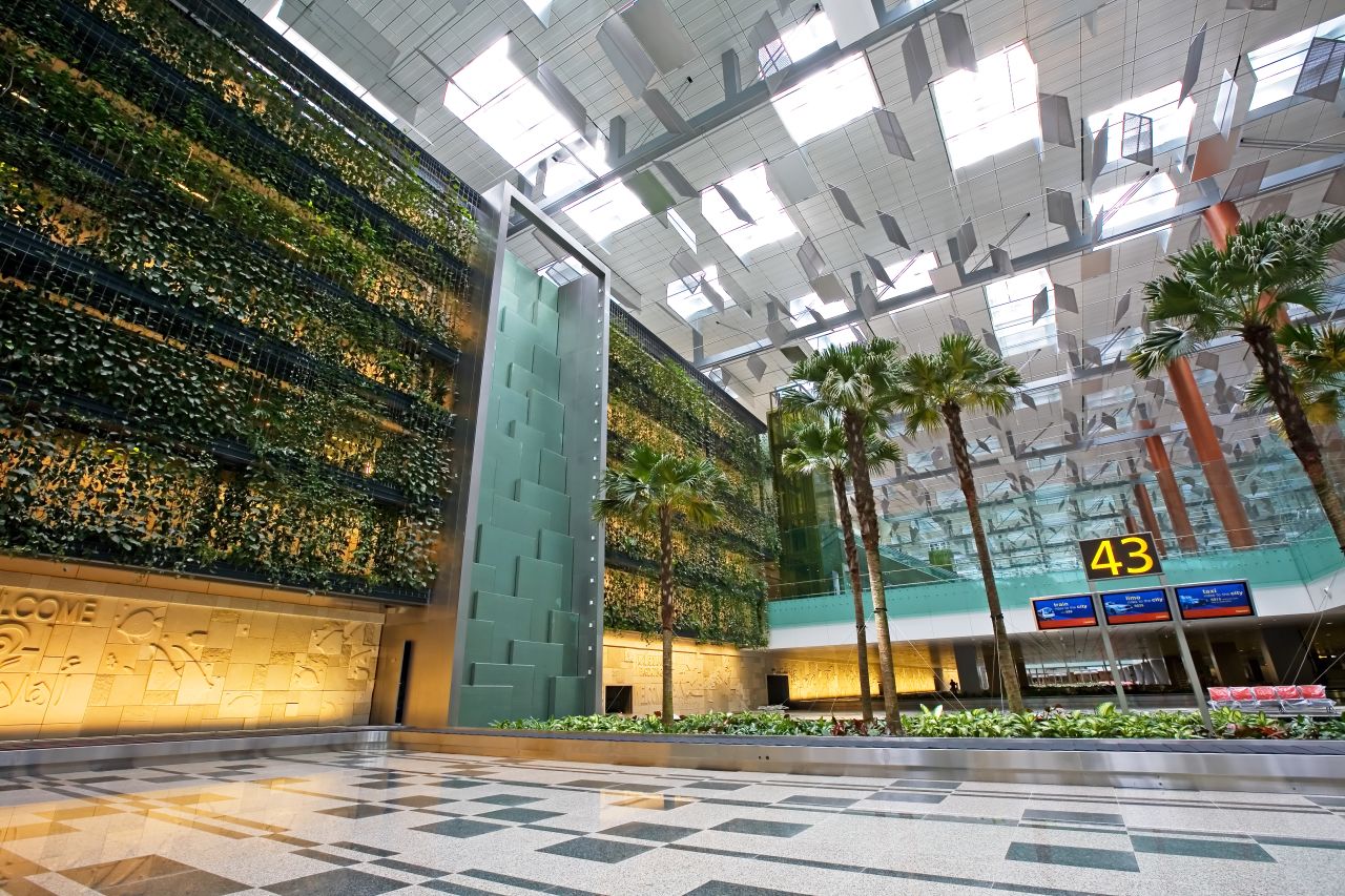 <strong>Changi's green wall: </strong>Singapore Changi Airport's green wall, found in terminal three, is the world's largest vertical garden. It measures 300 meters (984 feet) by 14 meters (45 feet) and contains over 10,000 plants. 