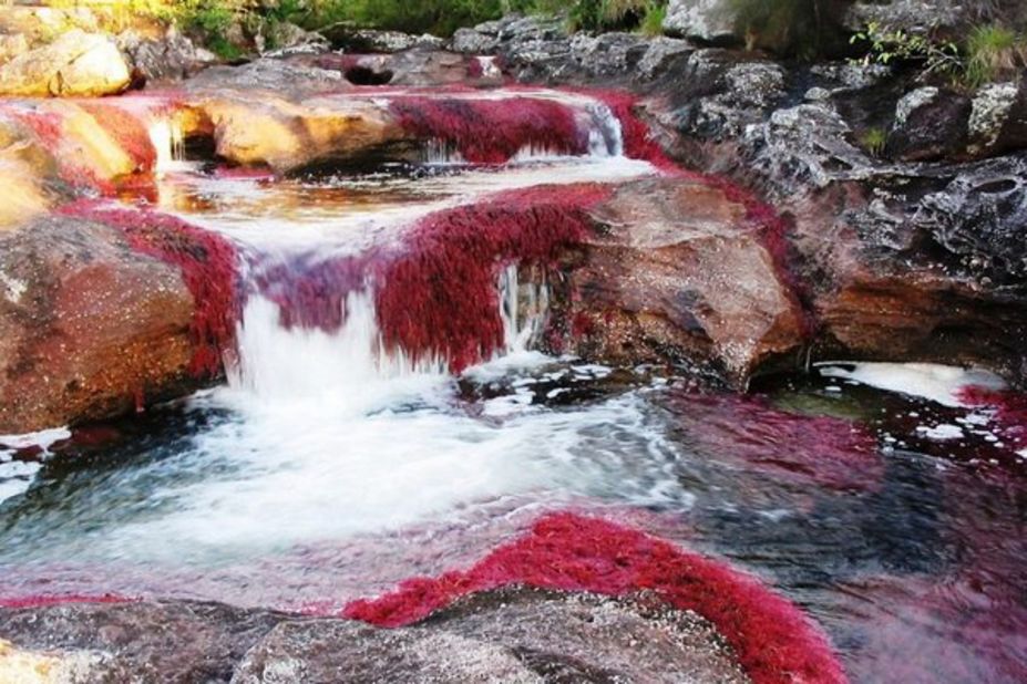 Known as "the river that ran away from paradise," the Caño Cristales in central Colombia is often considered the most beautiful river in the world. During the summer months, when the heat helps resident algae colonies to grow and multiply, the river explodes in a multi-hued array of colors worthy of a thousand photographs. 
