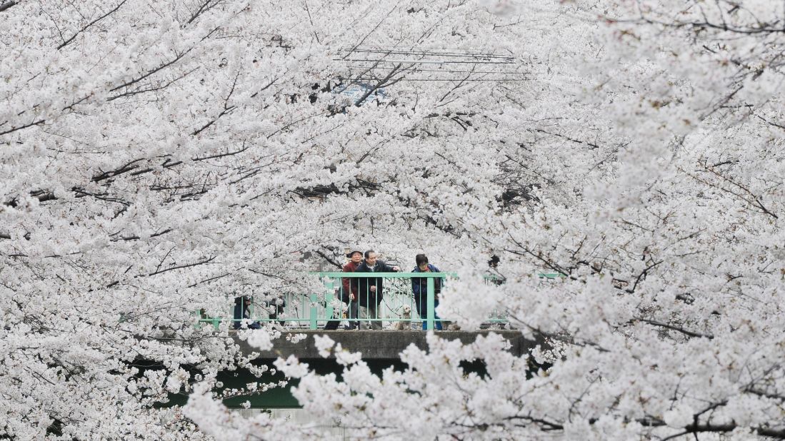 Constantly buzzing with energy, Tokyo gets high marks for safety and quality of life. If you're lucky, you might be around for the cherry blossoms.  