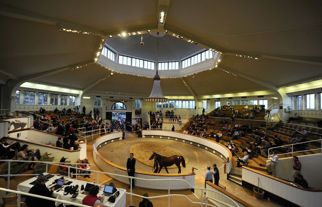 The October yearlings sale at Tattersalls has seen a number of auction records broken in brisk trade.