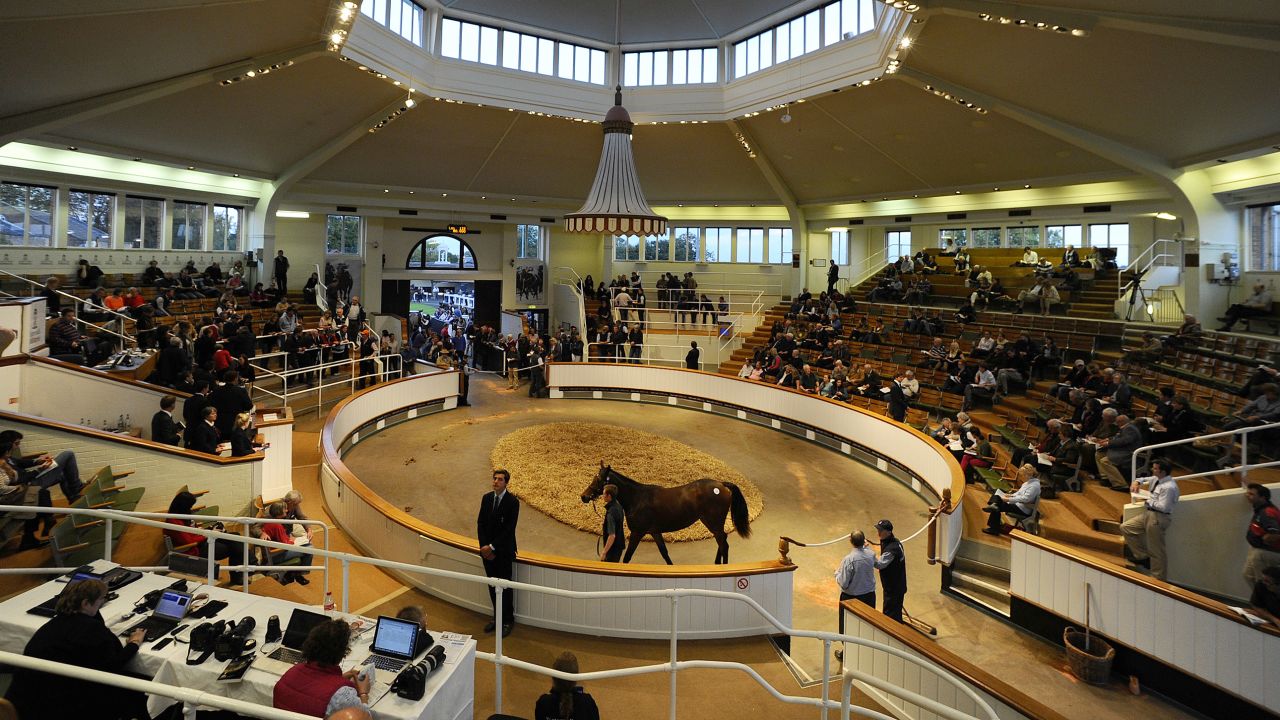 The October yearlings sale at Tattersalls has seen a number of auction records broken in brisk trade.