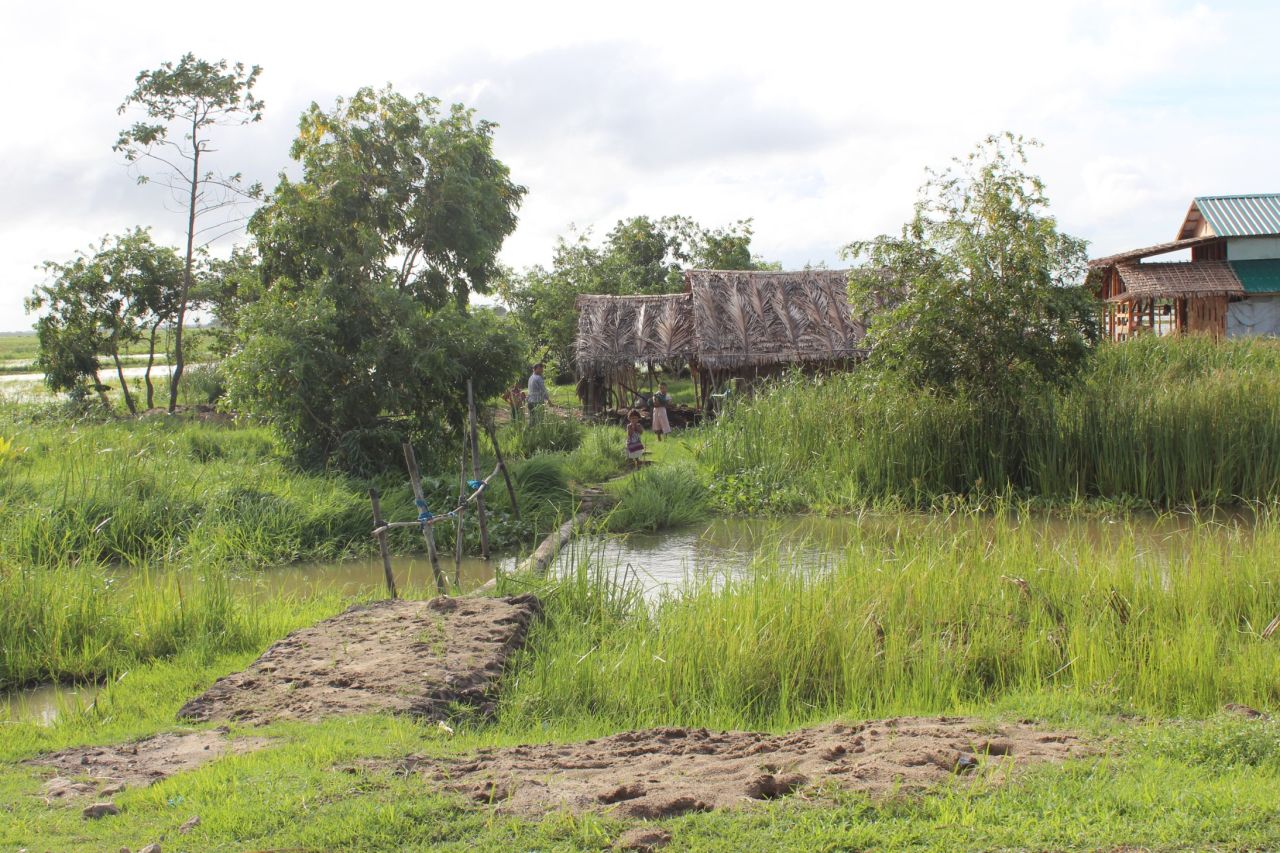 Zaw Min Paing lives in Bogale, a small township in the Irrawaddy region, four hours south of Yangon. The road to the town runs through an area once rich in rice paddies. Houses like these appear sporadically along the road, with bridges allowing residents to cross water-filled ditches.