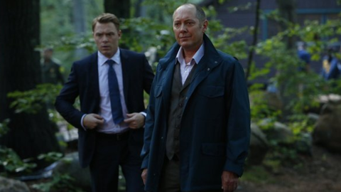 <strong>"The Blacklist" </strong>: James Spader stars in this hit NBC show as a career criminal who begins to work with the authorities. <strong>(Hulu) </strong>