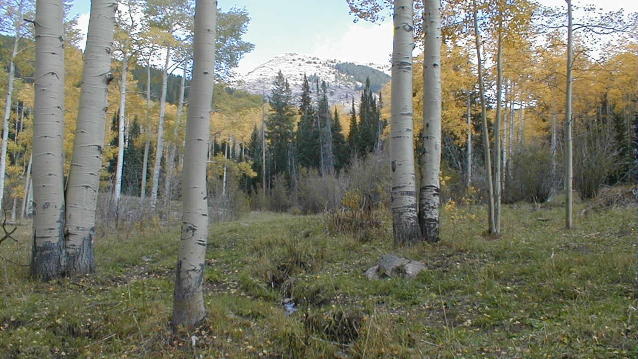 fabulous state parks state forest colorado